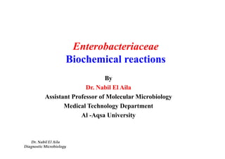 Enterobacteriaceae 
Biochemical reactions 
By 
Dr. Nabil El Aila 
Assistant Professor of Molecular Microbiology 
Medical Technology Department 
Al -Aqsa University 
Dr. Nabil El Aila 
DiagnosticMicrobiology 
 