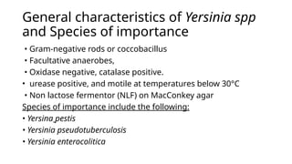 Urease Yersinia enterobacteriacea for systematic bacteriology | PPT