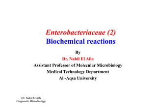 Enterobacteriaceae (2) 
Biochemical reactions 
By 
Dr. Nabil El Aila 
Assistant Professor of Molecular Microbiology 
Medical Technology Department 
Al -Aqsa University 
Dr. Nabil El Aila 
DiagnosticMicrobiology 
 