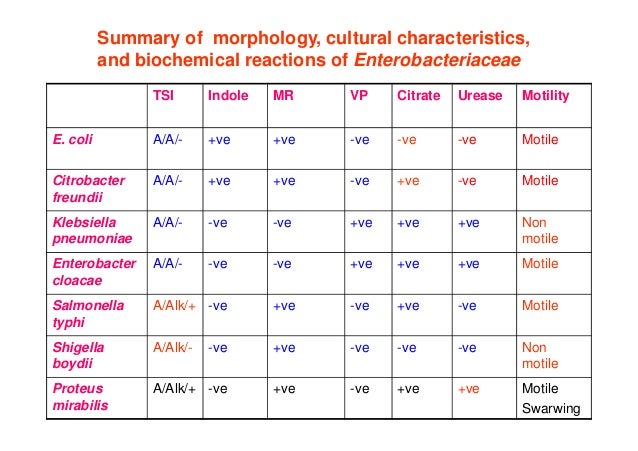 enterobacteriacea ii biochemical reaction 2بكتريا عملي enterobacteriaceae biochemical identification chart