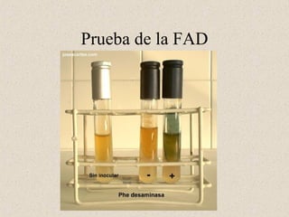 Prueba de la FAD