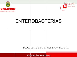 ENTEROBACTERIAS P.Q.C. MIGUEL ANGEL ORTIZ GIL. 