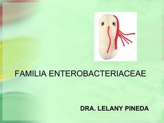 FAMILIA ENTEROBACTERIACEAE



            DRA. LELANY PINEDA
 