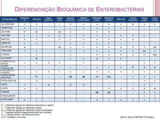 DIFERENCIAÇÃO BIOQUÍMICA DE ENTEROBACTÉRIAS

 