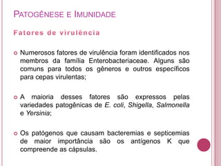 PATOGÊNESE E IMUNIDADE



Numerosos fatores de virulência foram identificados nos
membros da família Enterobacteriaceae. Alguns são
comuns para todos os gêneros e outros específicos
para cepas virulentas;



A maioria desses fatores são expressos pelas
variedades patogênicas de E. coli, Shigella, Salmonella
e Yersinia;



Os patógenos que causam bacteremias e septicemias
de maior importância são os antígenos K que
compreende as cápsulas.

 