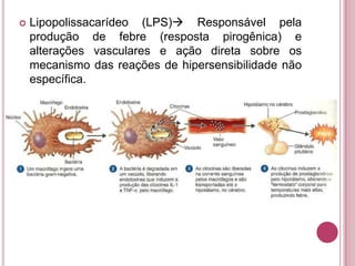 

Lipopolissacarídeo (LPS) Responsável pela
produção de febre (resposta pirogênica) e
alterações vasculares e ação direta sobre os
mecanismo das reações de hipersensibilidade não
específica.

 