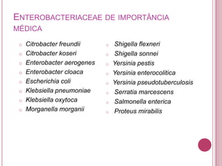 ENTEROBACTERIACEAE DE IMPORTÂNCIA
MÉDICA
o
o
o
o
o
o
o
o

Citrobacter freundii
Citrobacter koseri
Enterobacter aerogenes
Enterobacter cloaca
Escherichia coli
Klebsiella pneumoniae
Klebsiella oxytoca
Morganella morganii

o
o
o
o
o
o
o
o

Shigella flexneri
Shigella sonnei
Yersinia pestis
Yersinia enterocolitica
Yersinia pseudotuberculosis
Serratia marcescens
Salmonella enterica
Proteus mirabilis

 