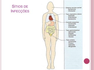 SÍTIOS DE

INFECÇÕES

 
