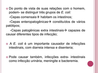 Do ponto de vista de suas relações com o homem,
podem- se distinguir três grupos de E. coli:
Cepas comensais habitam os intestinos;
Cepas enteropatogênicas constituídos de vários
patótipos;
Cepas patogênicas extra intestinais capazes de
causar diferentes tipos de infecção;




A E. coli é um importante causador de infecções
intestinais, com diarreia intensa e disenteria;



Pode causar também, infecções extra- intestinais
como infecção urinária, meningite e bacteremia.

 