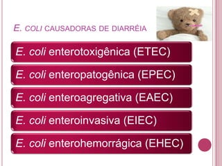 E. COLI CAUSADORAS DE DIARRÉIA

E. coli enterotoxigênica (ETEC)
E. coli enteropatogênica (EPEC)
E. coli enteroagregativa (EAEC)
E. coli enteroinvasiva (EIEC)

E. coli enterohemorrágica (EHEC)

 