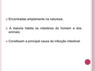 

Encontradas amplamente na natureza;



A maioria habita os intestinos do homem e dos
animais;



Constituem a principal causa de infecção intestinal.

 