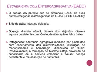 ESCHERICHIA COLI ENTEROAGREGATIVA (EAEC)


O padrão AA permite que se diferencie EAEC de duas
outras categorias diarreiogênicas de E. coli (EPEC e DAEC);



Sítio de ação: intestino delgado;



Doença: diarreia infantil, diarreia dos viajantes, diarreia
aquosa persistente com vômito, desidratação e febre baixa.



Patogênese: aderência agregativa mediada por plasmídeo
com encurtamento das microvilosidades, infiltração de
mononucleares e hemorragia, diminuição do fluido.
Possivelmente, a formação de biofilme esteja envolvida na
capacidade de a bactéria colonizar e causar doença
persistente e má absorção de nutrientes.

 