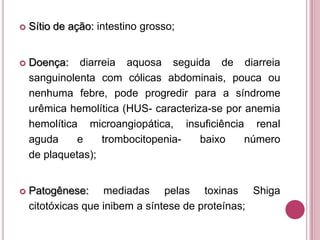 

Sítio de ação: intestino grosso;



Doença: diarreia aquosa seguida de diarreia
sanguinolenta com cólicas abdominais, pouca ou
nenhuma febre, pode progredir para a síndrome
urêmica hemolítica (HUS- caracteriza-se por anemia
hemolítica microangiopática, insuficiência renal
aguda
e
trombocitopeniabaixo
número
de plaquetas);



Patogênese: mediadas pelas toxinas Shiga
citotóxicas que inibem a síntese de proteínas;

 