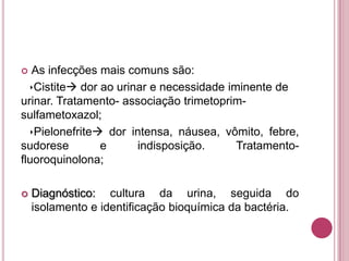 As infecções mais comuns são:
Cistite dor ao urinar e necessidade iminente de
urinar. Tratamento- associação trimetoprimsulfametoxazol;
Pielonefrite dor intensa, náusea, vômito, febre,
sudorese
e
indisposição.
Tratamentofluoroquinolona;




Diagnóstico: cultura da urina, seguida do
isolamento e identificação bioquímica da bactéria.

 