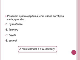 

Possuem quatro espécies, com vários sorotipos
cada, que são :

S. dysenteriae

S. flexnery

S. boydii
S. sonnei.
A mais comum é a S. flexnery.

 