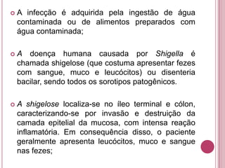 

A infecção é adquirida pela ingestão de água
contaminada ou de alimentos preparados com
água contaminada;



A doença humana causada por Shigella é
chamada shigelose (que costuma apresentar fezes
com sangue, muco e leucócitos) ou disenteria
bacilar, sendo todos os sorotipos patogênicos.



A shigelose localiza-se no íleo terminal e cólon,
caracterizando-se por invasão e destruição da
camada epitelial da mucosa, com intensa reação
inflamatória. Em consequência disso, o paciente
geralmente apresenta leucócitos, muco e sangue
nas fezes;

 