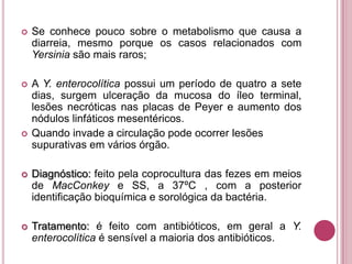 

Se conhece pouco sobre o metabolismo que causa a
diarreia, mesmo porque os casos relacionados com
Yersinia são mais raros;



A Y. enterocolítica possui um período de quatro a sete
dias, surgem ulceração da mucosa do íleo terminal,
lesões necróticas nas placas de Peyer e aumento dos
nódulos linfáticos mesentéricos.
Quando invade a circulação pode ocorrer lesões
supurativas em vários órgão.





Diagnóstico: feito pela coprocultura das fezes em meios
de MacConkey e SS, a 37ºC , com a posterior
identificação bioquímica e sorológica da bactéria.



Tratamento: é feito com antibióticos, em geral a Y.
enterocolítica é sensível a maioria dos antibióticos.

 