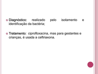 

Diagnóstico:
realizado
identificação da bactéria;

pelo

isolamento



Tratamento: ciprofloxacina, mas para gestantes e
crianças, é usada a ceftriaxona.

e

 