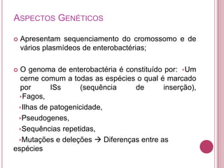 ASPECTOS GENÉTICOS


Apresentam sequenciamento do cromossomo e de
vários plasmídeos de enterobactérias;

O genoma de enterobactéria é constituído por: Um
cerne comum a todas as espécies o qual é marcado
por
ISs
(sequência
de
inserção),
Fagos,
Ilhas de patogenicidade,
Pseudogenes,
Sequências repetidas,
Mutações e deleções  Diferenças entre as
espécies


 