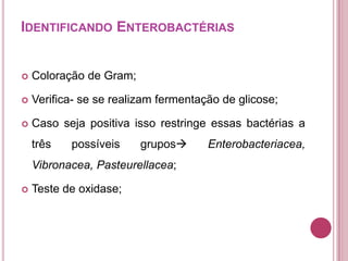 IDENTIFICANDO ENTEROBACTÉRIAS



Coloração de Gram;



Verifica- se se realizam fermentação de glicose;



Caso seja positiva isso restringe essas bactérias a
três

possíveis

grupos

Vibronacea, Pasteurellacea;


Teste de oxidase;

Enterobacteriacea,

 