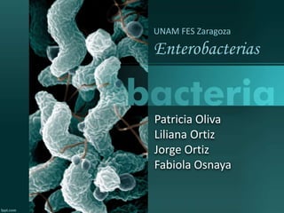 Patricia Oliva
Liliana Ortiz
Jorge Ortiz
Fabiola Osnaya
UNAM FES Zaragoza
Enterobacterias
 