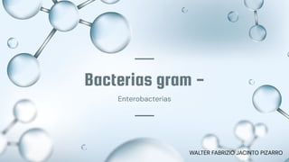 Bacterias gram -
Enterobacterias
WALTER FABRIZIO JACINTO PIZARRO
 