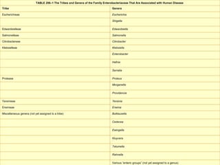 Various “enteric groups” (not yet assigned to a genus)  Rahnella Tatumella Kluyvera Ewingella Cedecea Buttiauxella  Miscellaneous genera (not yet assigned to a tribe)  Erwinia   Erwinieae  Yersinia   Yersinieae  Providencia  Morganella  Proteus   Protease  Serratia Hafnia Enterobacter Klebsiella  Klebsielleae  Citrobacter   Citrobactereae  Salmonella   Salmonelleae  Edwardsiella   Edwardsielleae  Shigella Escherichia   Escherichieae  Genera  Tribe  TABLE 206–1 The Tribes and Genera of the Family Enterobacteriaceae That Are Associated with Human Disease  