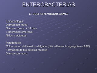 ENTEROBACTERIAS E. COLI ENTEROAGREGANTE Epidemiología : Diarrea con moco Diarrea crónica  + 14 días Transmisión oral-fecal Niños y lactantes Patogénesis : Colonización del intestino delgado (pilis adherencia agregativa o AAF) Formación de bio-película mucosa Diarrea con moco 