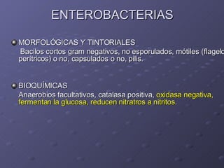 ENTEROBACTERIAS MORFOLÓGICAS Y TINTORIALES Bacilos cortos gram negativos, no esporulados, mótiles (flagelos perítricos) o no, capsulados o no, pilis. BIOQUÍMICAS Anaerobios facultativos, catalasa positiva,  oxidasa negativa,  fermentan la glucosa, reducen nitratros a nitritos .  