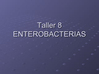 Taller 8 ENTEROBACTERIAS 