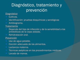 Diagnóstico, tratamiento y prevención Diagnóstico Cultivos. Identificación: pruebas bioquímicas y serológicas Antibiograma. Tratamiento Depende del tipo de infección y de la sensibilidad a los antibióticos de la cepa aislada. Rehidratación oral. Prevención Uso de agua potable. Cocción adecuada de los alimentos. Lactancia materna. Técnicas asépticas en los procedimientos médicos. Lavado de manos. 