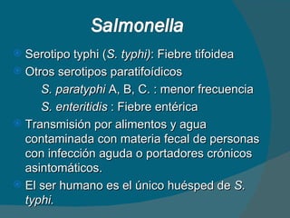 Serotipo typhi ( S. typhi) : Fiebre tifoidea Otros serotipos paratifoídicos S. paratyphi  A, B, C. : menor frecuencia S. enteritidis  : Fiebre entérica Transmisión por alimentos y agua contaminada con materia fecal de personas con infección aguda o portadores crónicos asintomáticos. El ser humano es el único huésped de  S. typhi. 