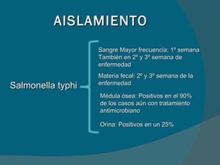 AISLAMIENTO Salmonella typhi Sangre Mayor frecuencia: 1º semana También en 2º y 3º semana de enfermedad Materia fecal: 2º y 3º semana de la enfermedad Médula ósea: Positivos en el 90% de los casos aún con tratamiento antimicrobiano Orina: Positivos en un 25%  