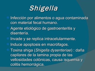 Shigella Infección por alimentos o agua contaminada con material fecal humano. Agente etiológico de gastroenteritis y disentería. Invade y se replica intracelularmente. Induce apoptosis en macrófagos. Toxina shiga ( Shigella dysenteriae ) : daña capilares de la lamina propia de las vellosidades colónicas, causa isquemia y colitis hemorrágica. 