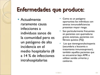 Enfermedades que produce: Actualmente raramente causa infecciones a individuos sanos de la comunidad pero es un patógeno de alta incidencia en el medio hospitalario (8 a 14 % de infecciones intrahospitalarias Como es un patógeno oportunista los individuos con severas inmunodeficiencias presentan mayor riesgo.  Son particularmente frecuentes en pacientes con quemaduras graves extensas, pacientes con fibrosis quística (FQ) Los que tienengranulocitopenia (secundaria a leucemia o tratamiento inmunosupresor), también aquellos pacientes que se encuentran bajo AMR o utilizan sondas urinarias y catéteres.  11/20/11 