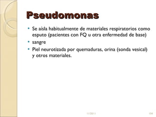 Pseudomonas Se aísla habitualmente de materiales respiratorios como esputo (pacientes con FQ u otra enfermedad de base) sangre Piel neurotizada por quemaduras, orina (sonda vesical) y otros materiales.  11/20/11 