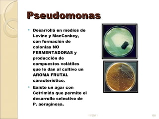 Pseudomonas Desarrolla en medios de Levine y MacConkey, con formación de colonias NO FERMENTADORAS y producción de compuestos volátiles que le dan al cultivo un AROMA FRUTAL característico.  Existe un agar con Cetrimida que permite el desarrollo selectivo de P. aeruginosa.  11/20/11 