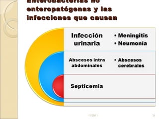 Enterobacterias no enteropatógenas y las infecciones que causan  11/20/11 