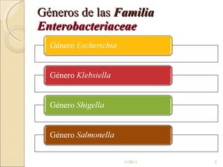 Géneros de las  Familia  Enterobacteriaceae 11/20/11 