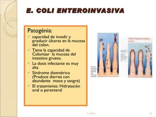E. COLI ENTEROINVASIVA Patogénia: capacidad de invadir y producir úlceras en la mucosa del colon.  Tiene la capacidad de Colonizar  la mucosa del intestino grueso. La dosis infectante es muy alta Síndrome disentérico (Produce diarrea con abundante  moco y sangre) El tratamiento: Hidratación oral o parenteral 11/20/11 
