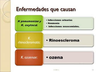 Enfermedades que causan 11/20/11 