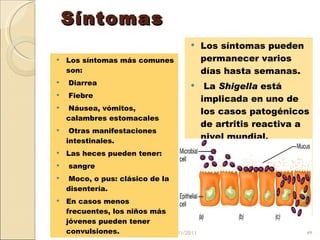 Síntomas Los síntomas más comunes son: Diarrea Fiebre Náusea, vómitos, calambres estomacales Otras manifestaciones intestinales.  Las heces pueden tener: sangre Moco, o pus: clásico de la disentería.  En casos menos frecuentes, los niños más jóvenes pueden tener convulsiones. Los síntomas pueden permanecer varios días hasta semanas. La  Shigella  está implicada en uno de los casos patogénicos de artritis reactiva a nivel mundial. 11/20/11 
