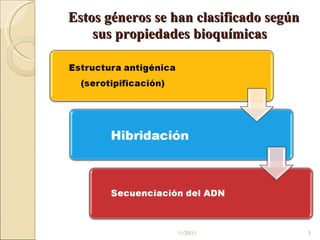 Estos géneros se han clasificado según sus propiedades bioquímicas  11/20/11 