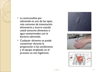La enterocolitis por salmonela es uno de los tipos más comunes de intoxicación alimentaria y ocurre cuando usted consume alimentos o agua contaminados con la bacteria salmonela.  Cualquier alimento se puede contaminar durante la preparación si las condiciones y el equipo empleado en el proceso no son higiénicos. 11/20/11 