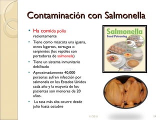 Contaminaci ó n con Salmonella Ha comi do   pollo  recientemente Tiene como mascota una iguana, otros lagartos, tortugas o serpientes (los reptiles son portadores de  salmonela ) Tiene un sistema inmunitario debilitado Aproximadamente 40,000 personas sufren infección por salmonela en los Estados Unidos cada año y la mayoría de los pacientes son menores de 20 años. La tasa más alta ocurre desde julio hasta octubre 11/20/11 