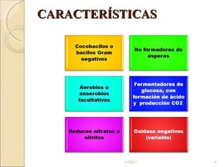 CARACTERÍSTICAS 11/20/11 