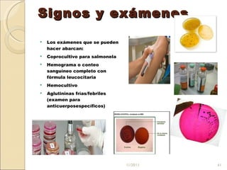 Signos y exámenes Los exámenes que se pueden hacer abarcan: Coprocultivo para salmonela Hemograma o conteo sanguíneo completo con fórmula leucocitaria Hemocultivo Aglutininas frías/febriles (examen para anticuerposespecíficos) 11/20/11 