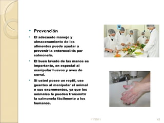 Prevención El adecuado manejo y almacenamiento de los alimentos puede ayudar a prevenir la enterocolitis por salmonela.  El buen lavado de las manos es importante, en especial al manipular huevos y aves de corral.  Si usted posee un reptil, use guantes al manipular el animal o sus excrementos, ya que los animales le pueden transmitir la salmonela fácilmente a los humanos. 11/20/11 