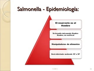 Salmonella - Epidemiología: 11/20/11 