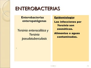 ENTEROBACTERIAS Enterobacterias  enteropatógenas Yersinia enterocolítica y Yersinia pseudotuberculosis . Epidemiología : Las infecciones por  Yersinia  son zoonóticas. Alimentos o aguas contaminadas. 11/20/11 